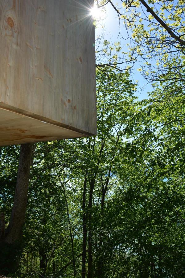 Treehut, Nature, Birds, Silence And Fjord Samlanes Exterior foto