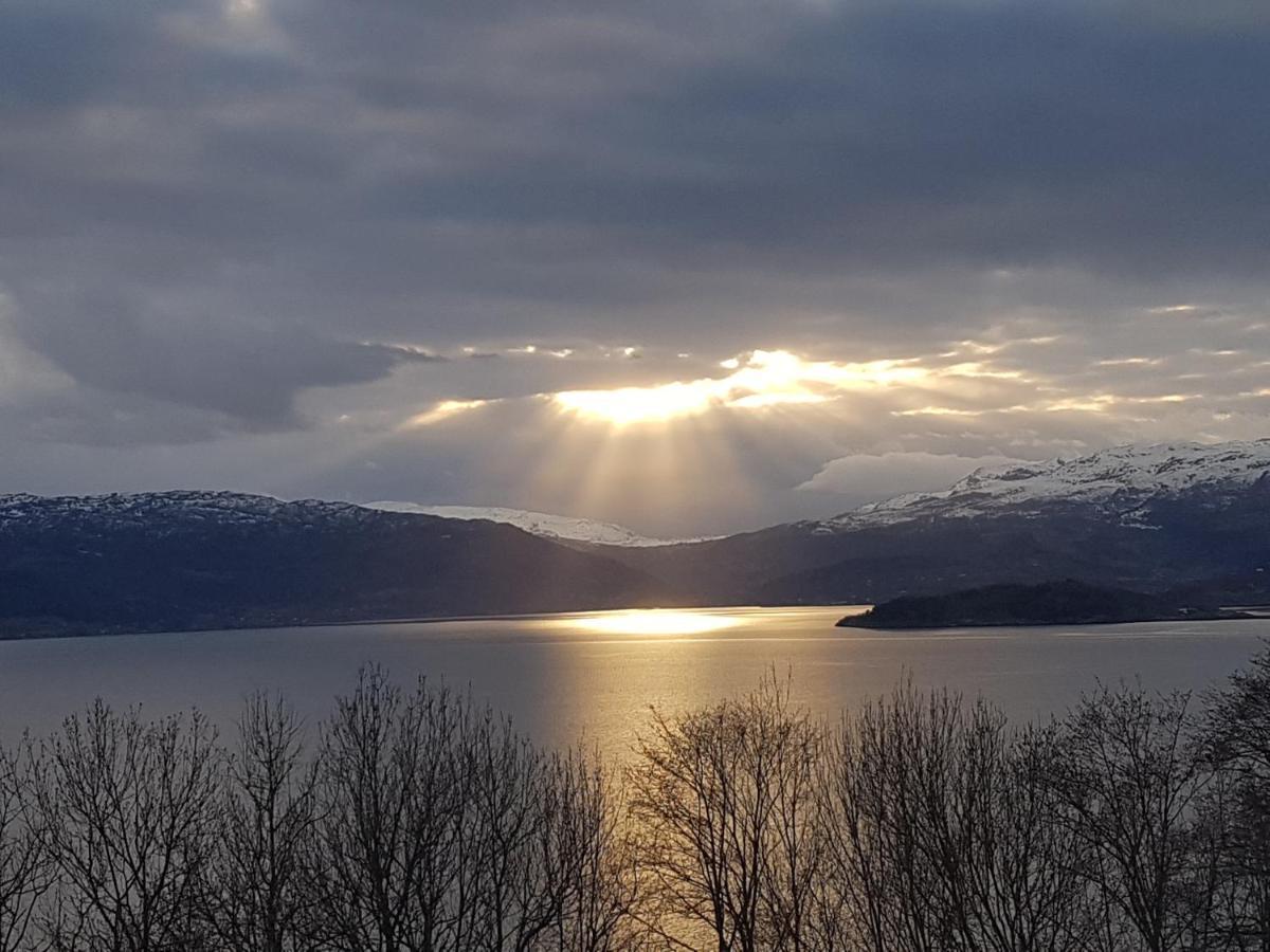 Treehut, Nature, Birds, Silence And Fjord Samlanes Exterior foto